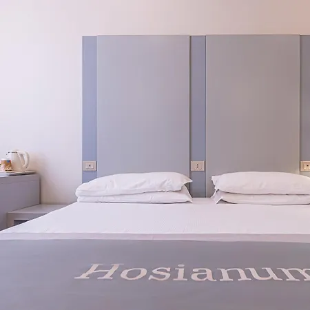 Hosianum Palace Pensjonat Rzym